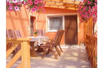 Madjarska Privát Buzsák, Eksterijer